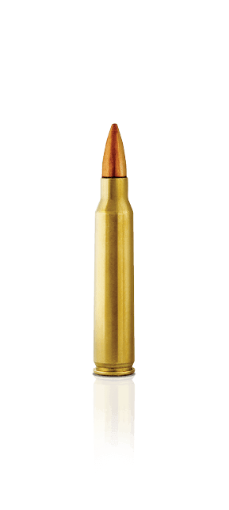 Inicio | Aguila Ammunition